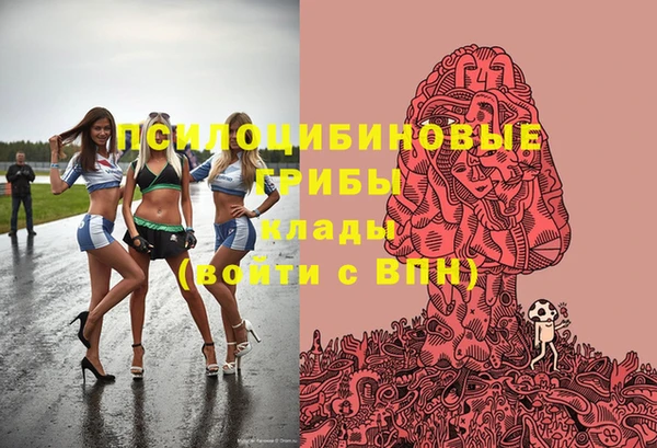 МДПВ Алзамай