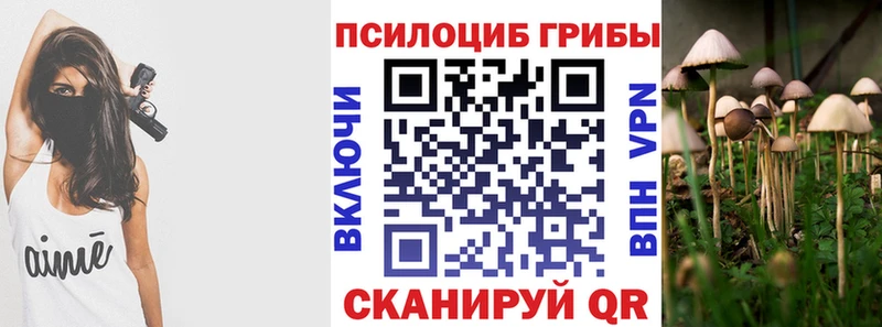 Галлюциногенные грибы ЛСД Купить закладки Бор